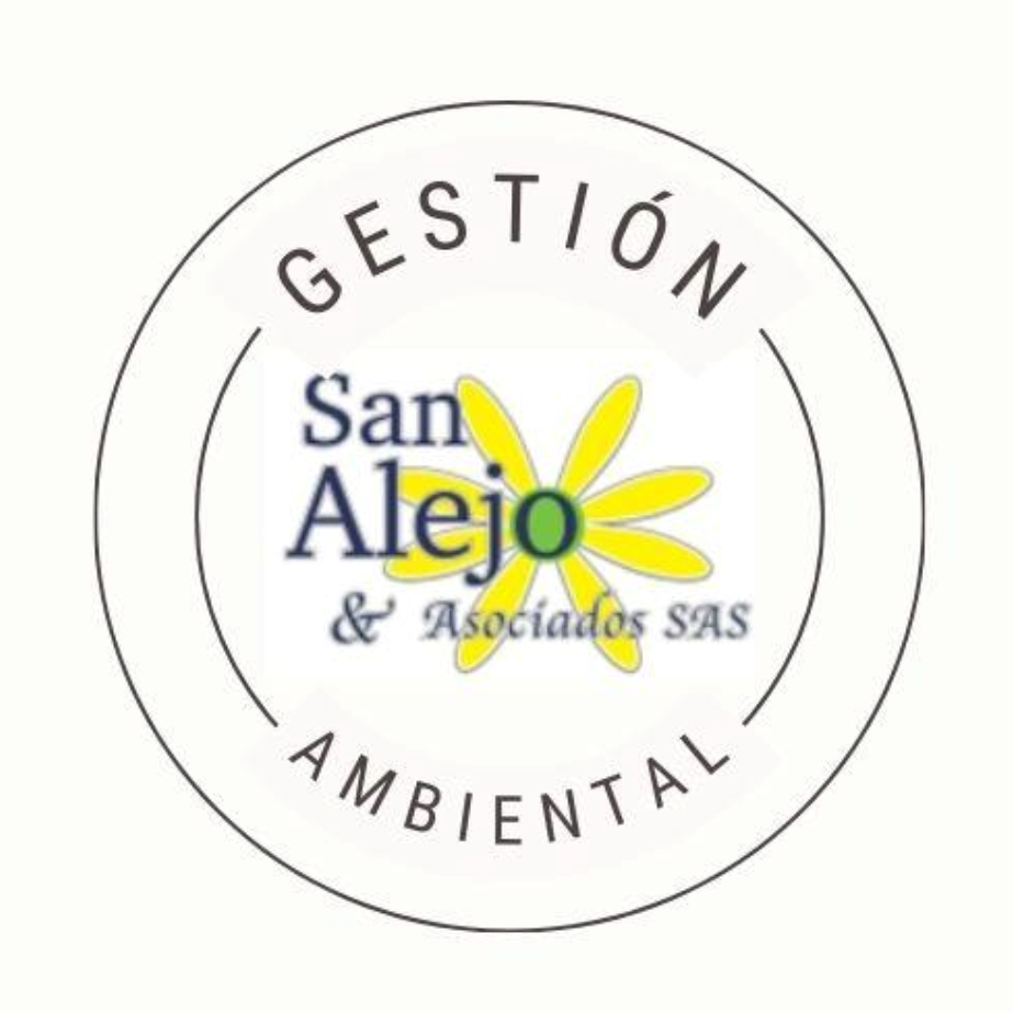 SANALEJOYASOCIADOS.A.S